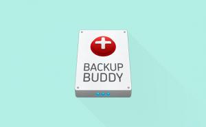 backup_buddy