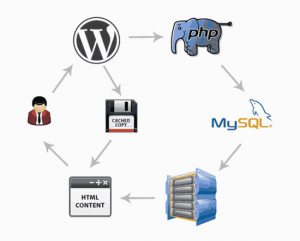 cache plugin