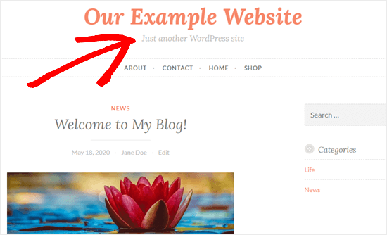 just-another-wordpress-site-tagline-example